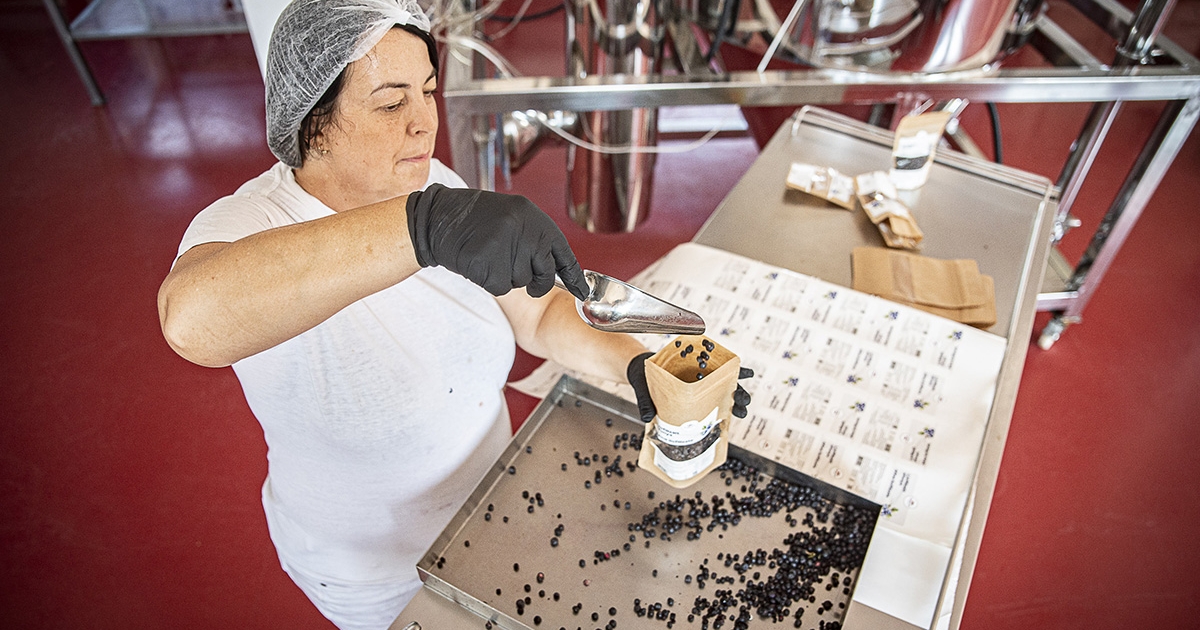 A székely táj java – becsomagolva